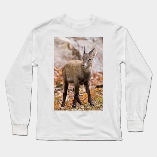 Baby Ibex Long Sleeve T-Shirt by jaydee1400